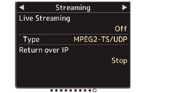 HC500_S-Screen Streaming